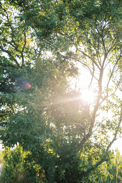 Fiddlers Elbow Country Club Wedding Photos