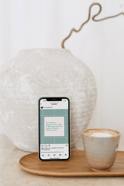 Studio Paoline Kruijssen - portfolio vormgeving - social media templates canva - Firma Opgeruimd - 1