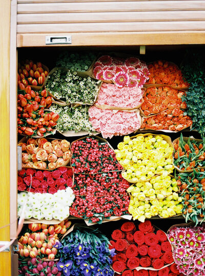 vibrant-summer_Social-Squares_Styled-Stock_01265