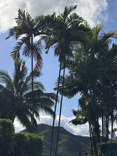 Support for military spouses, moms, and multi-passionate women navigating real life. Liz offers virtual assistant services, strategy calls, and practical tools to help you build a life and business that feels sustainable, aligned, and yours.