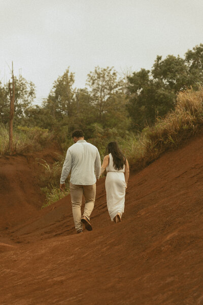 waimea engagement HI-9