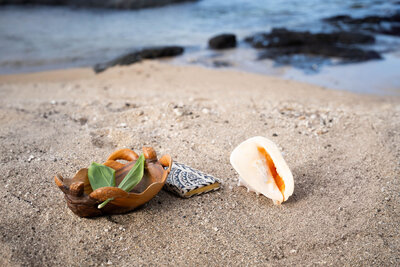 Shells on the beach taken by professional photographer on the Big Island