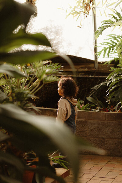 Little boy in  overalls explores greenhouse by Atlanta Child Photographer
