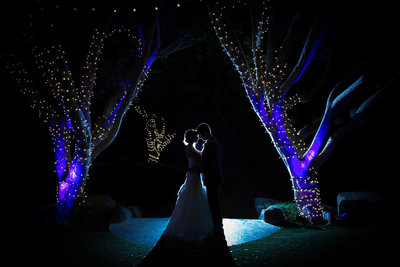 Stunning wedding photo at Paradise Falls in San Diego