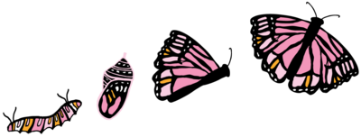 Psychedelic Transformation