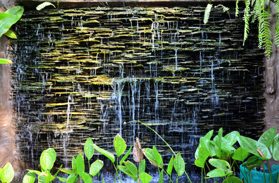 Outdoor tranquil waterfall