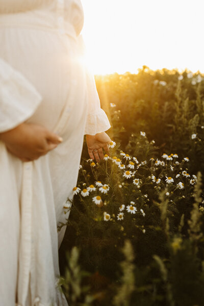 A woman running her hands through the daisy's during a maternity photoshoot in christchurch