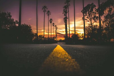 Road lined with palm trees at dusk – favorite U.S. travel memory with kids