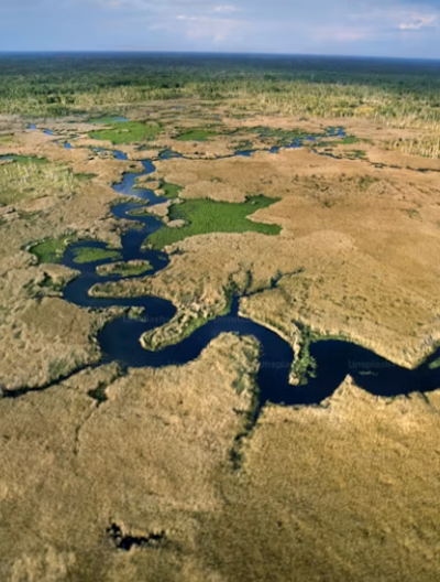 Okavango Delta