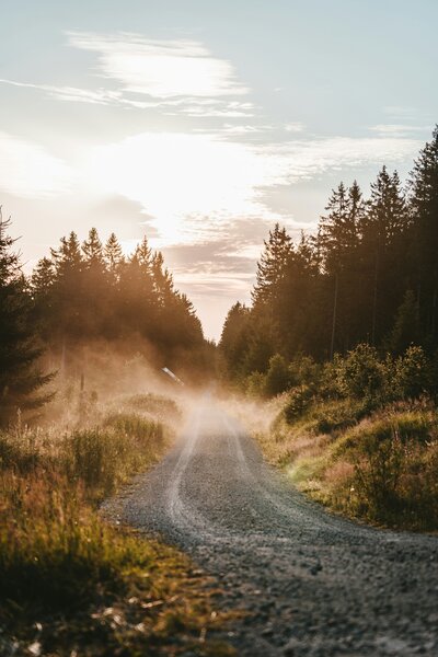 A dirt road winding through trees into a sunset.