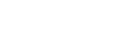 Countryside Animal Hospital Clearwater Florida white logo 