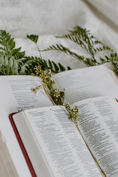 two bibles laying on table with greenery
