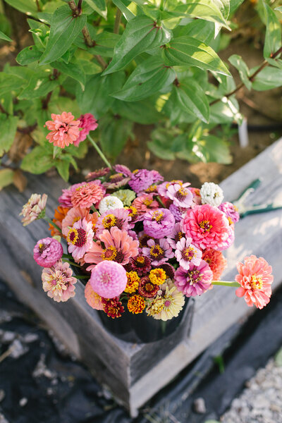 Georgetown KY flower delivery