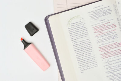 Close-up of key service features in Showit website design