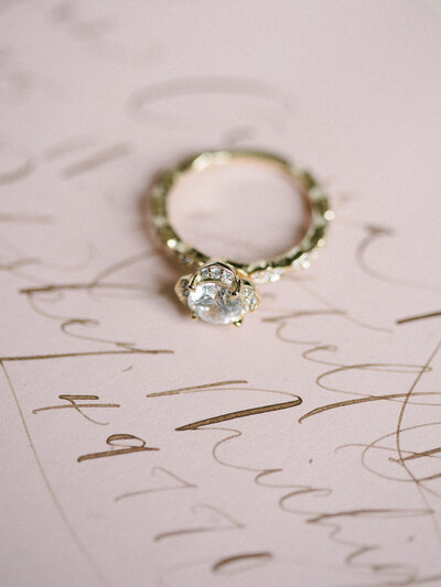 Fine Art Michigan Wedding - Shanell Photography