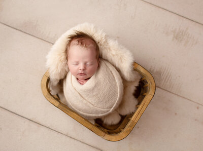 sweet baby girl posed n all cream for her denver newborn photos