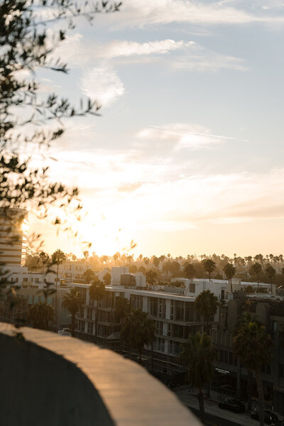 santa monica proper weddingC+E_wed-779