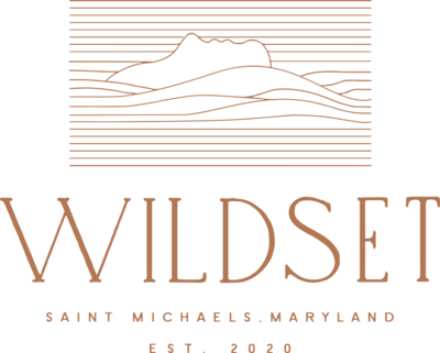 Wildset_header logo 2