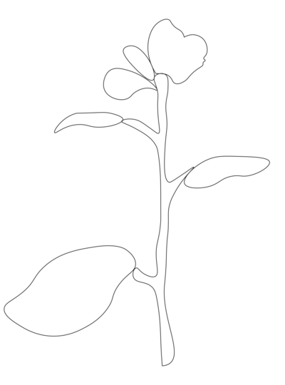 LogoDesign_graphicDesign_BrandIdentity