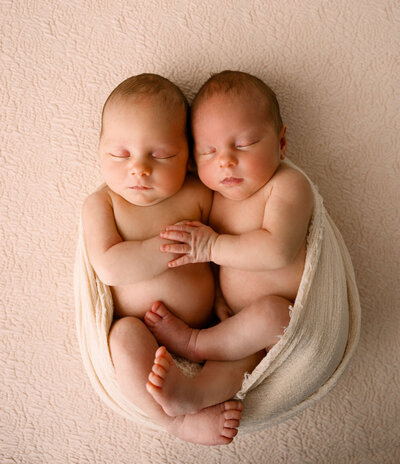 Photo of baby  laying on a floral backdrop in Erie PA