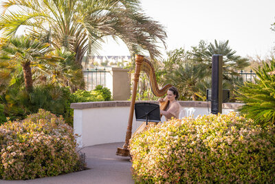 Wedding harpist in a champagne dress playing at an outdoor ceremony at Emerald at Queensridge in Las Vegas, Nevada