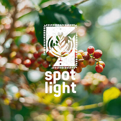Spotlight réalisé par Sagittae Design