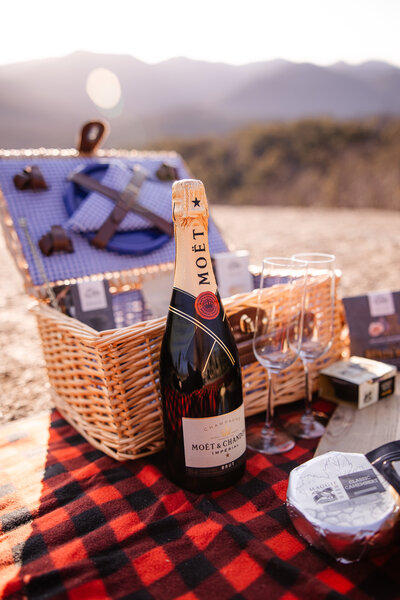 Proposal picnic basket with Moet champagne at Namadgi National Park near Canberra ACT. Photography by Acacia & Grace Photography