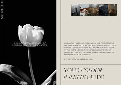 Colour palette guide-1