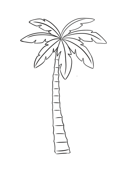 dessin simple palmier 