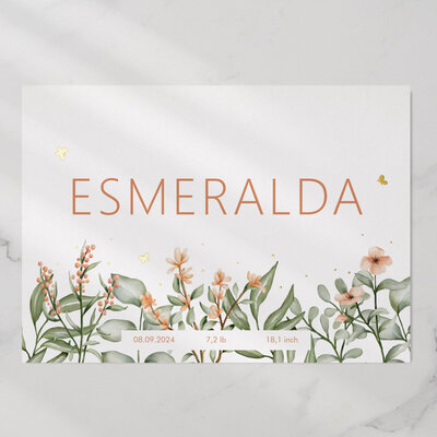 Ellila_designs_Zazzle birth announcement esmeralda