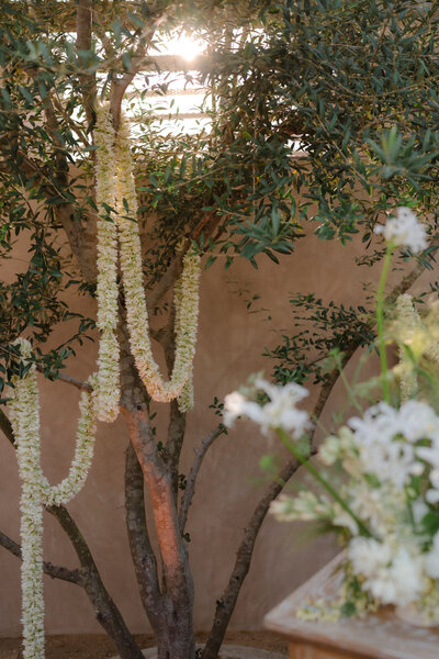 H&J-2024-Wedding-681