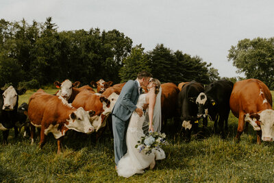 Pittsburgh wedding photography