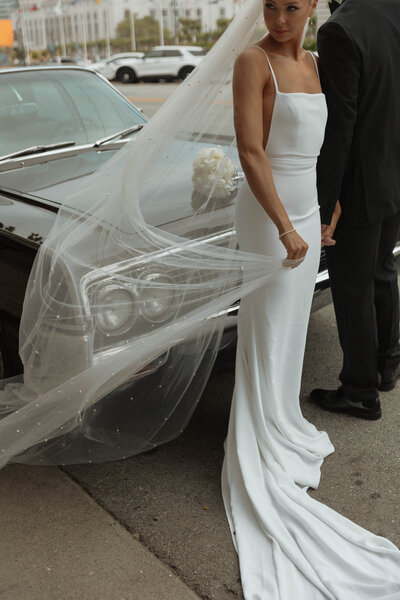 Bride and Groom, Bride holding veil