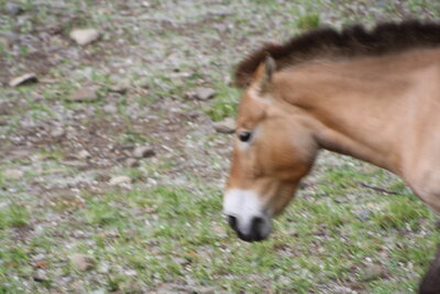 First time home buyer Pinellas County - new homeowner receiving keys in St Petersburg