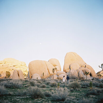 joshua-tree-engagement