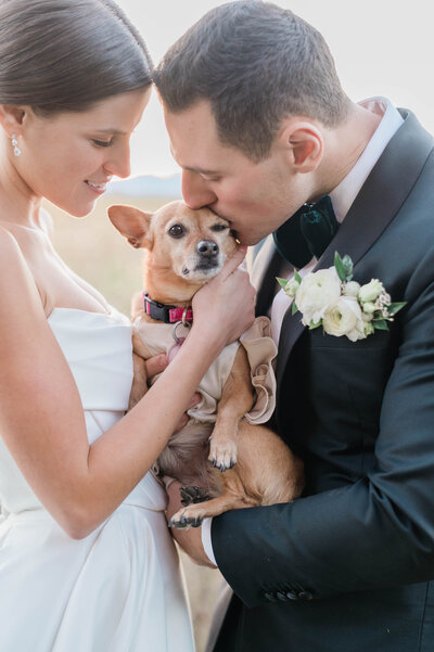 Dog is held between a bride and groom and the groom kisses the dog
