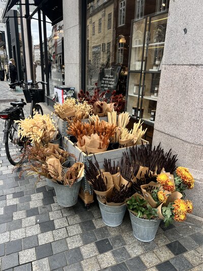 Flower shop display on cobblestone street, featuring vibrant dried flowers in rustic buckets. A nearby bicycle adds charm to the urban scene.