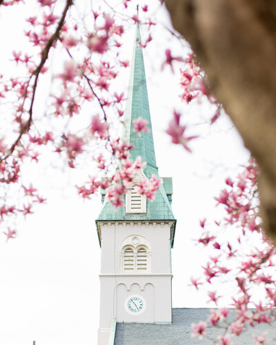 spring flowers-025