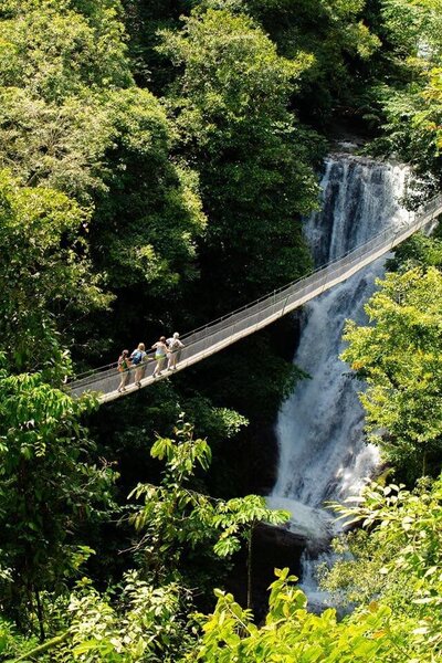 stunning-suspensionbridge-costarica