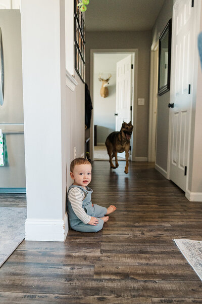 A toddler sits in the hallway while the family dog walks toward the kitchen during a candid in-home session in Harrisburg, PA.