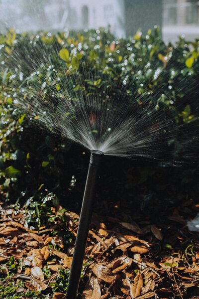 irrigation, hardcore lawns,