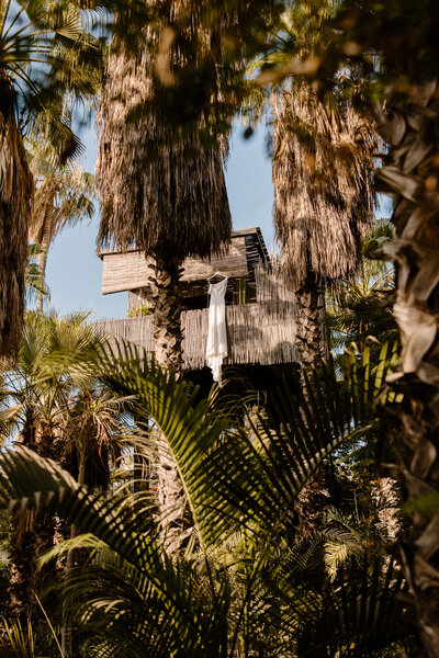 Detail dress photo hanging in the treehouses at Acre Resort.