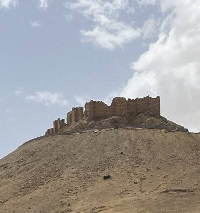 syria 12