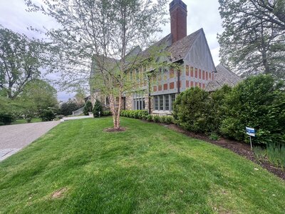 Old charming home with plain landscaping