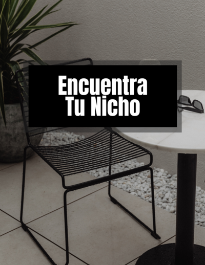 4. DWA - Encuentra Tu Nicho 