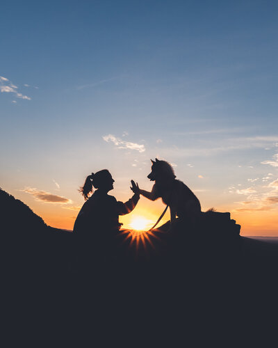 Girl high fives dog in front of sunset