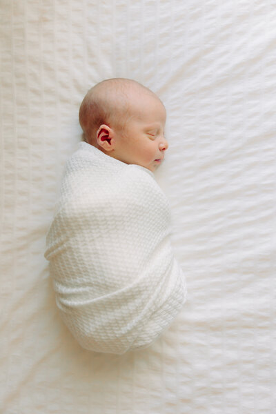 Asheville Newborn photographer wraps newborn baby boy for newborn family photo session with Rachel Marie Photography based in Asheville, Hendersonville, Brevard, NC