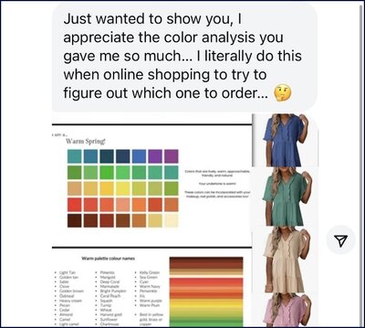 Screenshot showing how a client uses their seasonal palette for online clothing purchases