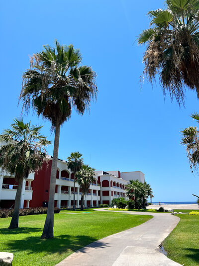 A scenic pathway lined with palm trees, leading to a picturesque beachside resort, ideal for destination weddings.