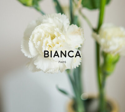 Création de l'identité visuelle et du site e-commerce de la marque Bianca Paris, bougies à la cire coulées à la main